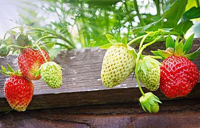 《死亡搁浅》小岛工作室成立9周年 小岛秀夫发文庆祝